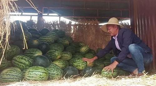 昆明某网红吃瓜事件,一场网络舆论的风暴与反思 第2张 昆明某网红吃瓜事件,一场网络舆论的风暴与反思 第2张