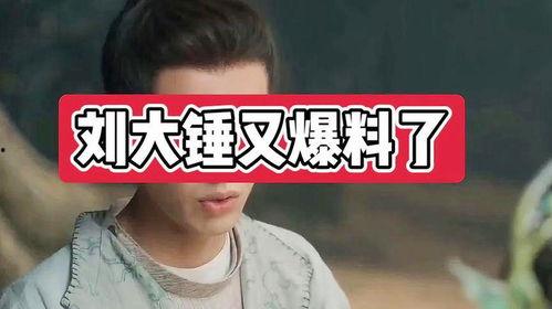 刘大锤最新爆料是什么,揭秘娱乐圈惊人内幕  第2张